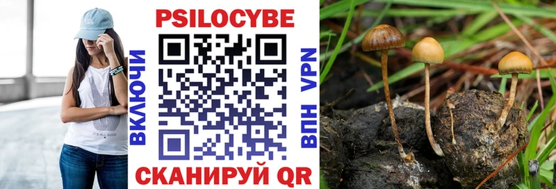 Купить где  Новочеркасск  Псилоцибиновые грибы мухоморы 